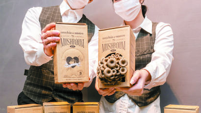 [Biz & Now] 커피찌꺼기로 친환경 버섯 키우세요