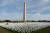 미국 수도 워싱턴 D.C의 중심지인 내셔널 몰(National Mall)에 코로나19로 사망한 사람들을 기리는 흰 깃발이 꽂혀 있다. [신화통신=연합뉴스]