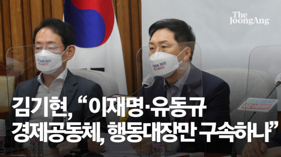 "두목 놔두고 행동대장만 구속하나" 野, 이재명 파상공세