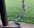 매트 라이트의 두 살 배기 아들인 반조가 2m 넘는 비단뱀의 꼬리를 잡고 뱀을 풀밭으로 끌어내고 있다. [인스타그램 캡처]