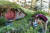 뉴질랜드에 지어진 영화 반지의 제왕 속 호빗 마을. [뉴질랜드 관광청 제공]
