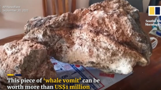 고래 똥으로 인생역전…바다서 16억 용연향 건진 태국 어부