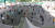 지난달 24일 서울 송파구 가락시장에 마련된 선별진료소에서 시민들이 코로나 19 검사를 위해 줄지어 서있다. 연합뉴스