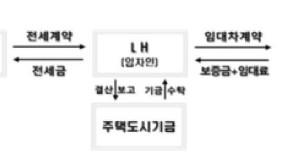 집주인 1명이 20억 떼먹었다...LH 전세임대도 깡통 주의보