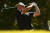 슈라이너스 칠드런스 오픈 최종 라운드 8번 홀에서 티샷한 임성재. 그는 이날 하루 9타를 줄여 PGA 투어 통산 2승을 달성했다. [AFP=연합뉴스]