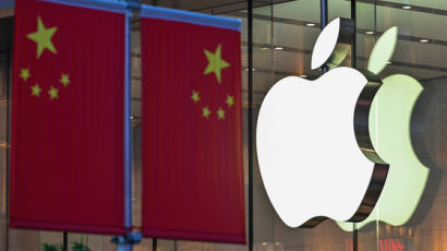 애플도 두손 든 반도체 대란, 아이폰13 생산 1000만대 줄인다
