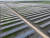 한화큐셀이 미국 텍사스에 건설한 168MW 규모 태양광 발전소. 연합뉴스