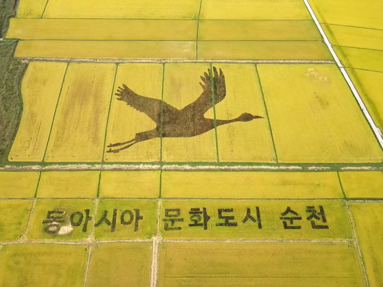 안단테, 안단테… 순천만 갈대밭을 걸을 때의 적정 속도(영상) | 중앙일보