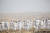 이스라엘 사해 인근 아라드 지역의 언덕에서 17일(현지시간) 누드 모델들이 포즈를 취하고 있다. 미국의 설치 미술가 스펜서 튜닉은 "사해 보존의 중요성을 일깨우기 위해 이번 퍼포먼스를 마련했다"고 밝혔다. [AP=연합뉴스]