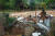 16일 인도 케랄라주에서 폭우로 파손된 집 잔해를 뚫고 한 주민이 개를 안고 나오고 있다. 연합뉴스