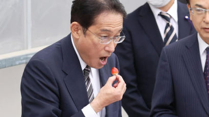 후쿠시마 딸기 먹는 日총리 “오염수 방류 미룰 수 없다”