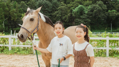 [아이랑GO] 알고 보면 귀하신 몸, ’말(馬)’과 울고 웃는 직업들 