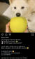윤석열 전 총장의 인스타그램에 올라온 먹는 사과 사진. 현재는 지워진 상태다. [인스타그램 캡처]