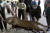 지난 1월 인도네시아 반다아체에서 경찰과 천연자원보존 직원들이 암시장에서 거래되던 희귀 표범 박제를 압수해 공개하고 있다. EPA=연합뉴스