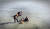 23일 오후 2시11분쯤 충남 태안군 안면읍 안면암 인근 바닷가에서 갯벌체험에 나섰던 50대 남녀가 고립돼 출동한 해경과 119구조대에 구조되고 있다. [사진 태안해경]