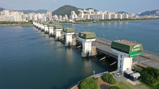 수문 연 낙동강 하구, 숭어 뛰었다…'생태계 복원' 하굿둑 개방 확대될까