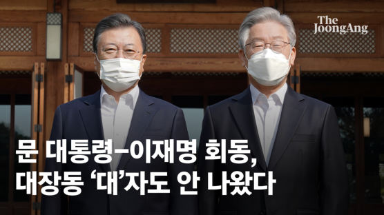 文-이재명, 靑서 50분간 차담 회동…대선후보 선출 16일만 