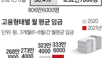 비정규직 800만 돌파, 정규직과 월급차 157만원 사상 최대