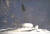 한국항공우주연구원이 누리호 동체에 부착한 카메라는 페어링이 누리호에서 떨어져나가 태평양으로 낙하하는 장면을 생생하게 포착했다. [사진 한국항공우주연구원]