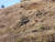 철원 DMZ 화살머리고지 유해 발굴 현장. 유해가 발견된 장소에 화강암 말뚝을 세워놓았다. 강찬수 기자