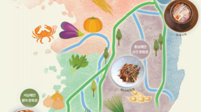 [세계가 푹 빠진 한국의 맛, 김치] 산 넘으면 절임 농도, 강 건너면 젓갈 종류 달라져…자연이 만들어 낸 오묘한 '김치의 경계' 아시나요