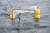 일본과 프랑스 공동연구팀이 지난 14일 일본 시즈오카 현 시모다 앞바다에서 깔때기 모양의 그물로 미세플라스틱 시료를 채취하고 있다. AFP=연합뉴스