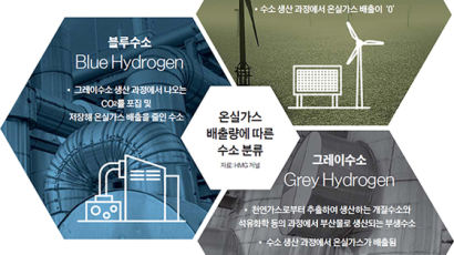 수소 1t 만들려고 탄소 10t 배출, 한국 수소기술의 민낯