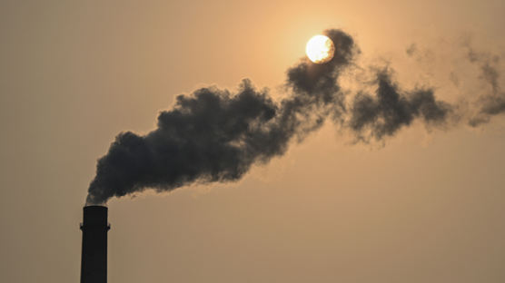 인도 "2070년 탄소 제로" 선언에 몰디브 "우린 가라앉았을 것"