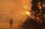 지난해 8월 미국 캘리포니아의 산불로 화염에 휩싸인 나무에 소방대원들이 물을 뿌리고 있다. 연합뉴스 