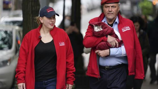 17마리 고양이 키우는 뉴욕시장 후보, 투표소에 데려갔다 봉변