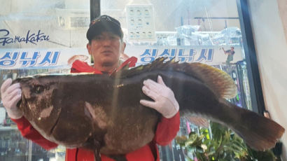 1m 넘는 대물을 낚싯대 하나로…제주서 잡힌 31kg '다금바리' 