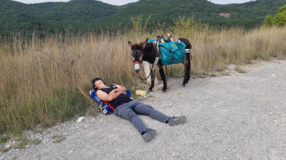 "하이에나도 물어 죽이는 당나귀···앞니·어금니 빈틈의 비밀“ [동키호택과 걷는 산티아고길 80일]