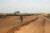 가뭄이 계속되고 있는 마다가스카르 남부의 비포장 국도와 주변이 오랜 가뭄으로 메말라 있다. AFP=연합뉴스 