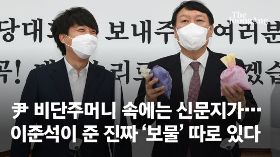 "댓글조작 '킹크랩' 잡는다" 이준석 비단주머니 1탄은 '크라켄'