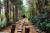 통영·거제 커플 여행상품을 이용하면 들르는 통영 나폴리농원. 맨발로 숲길 걷기 체험을 한다.