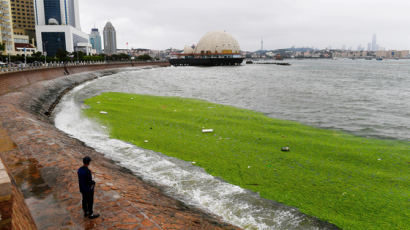 바다 질식시키는 질소…中양쯔강 최다 배출, 전세계의 11%