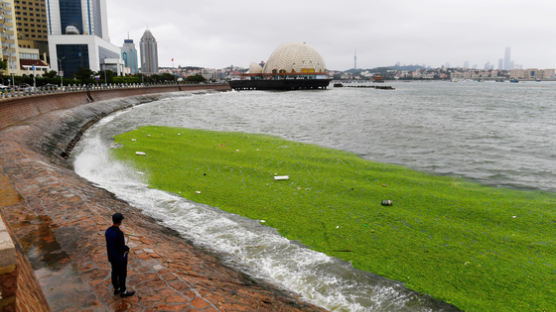 바다 질식시키는 질소…中양쯔강 최다 배출, 전세계의 11%