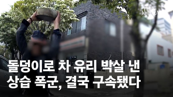 등산스틱 폭행 후 45일 도피…폭력사범 줄줄이 구속 [영상]