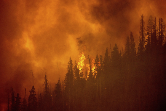 지난 9월 산불이 일어난 캘리포니아 세콰이어 국유림. [AP=연합뉴스]