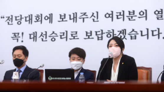 김혜경 루머에…野 "이재명 폭력성 투영, 품성 돌아봐야"