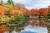 불국사 일주문과 천왕문 사이에 있는 연못 '반야연지'에도 가을빛이 물들었다. 백종현 기자