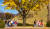 대릉원 은행나무 아래서 낙엽을 던지며 놀고 있는 아이들이 모습. 백종현 기자