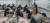 18일 서울 용산고등학교에서 수험생들이 시험을 앞두고 자습하고 있다. 사진공동취재단