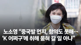 노소영 "미세먼지 中항의도 못해…K-어쩌구에 묻혀갈 일 아냐"