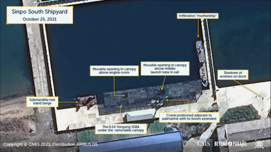 SLBM 쏜 '8·24영웅함' 신포 기지에 정박…위성 사진에 포착