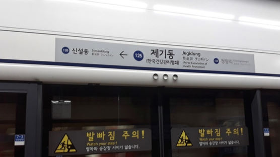 서울 1호선 사망 사고 "할아버지 선로 진입"…일부 운행 중단