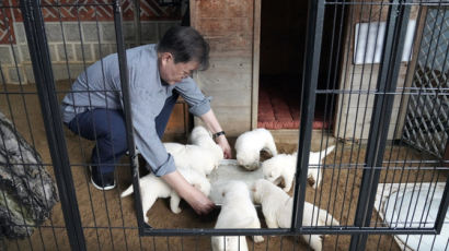 개식용·차별금지법은 밑밥? "文이 던질 진짜 카드 따로 있다"