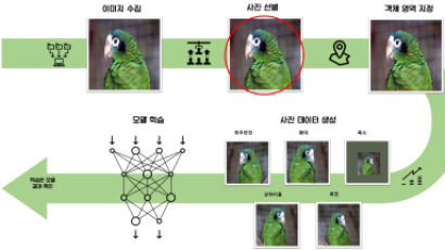 AI 기술로 멸종위기종 판별한다…앵무새 적용하니 90%대 정확도