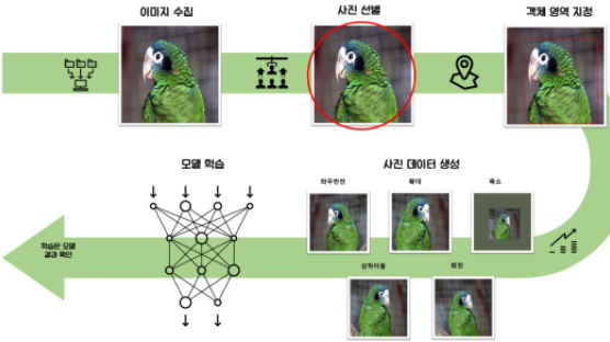 AI 기술로 멸종위기종 판별한다…앵무새 적용하니 90%대 정확도