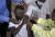 남아프리카공화국 요하네스버그에서 한 어린이가 코로나19 백신을 맞고 있다. [AP=연합뉴스] 